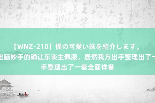 【WNZ-210】僕の可愛い妹を紹介します。 哇噻！这位电脑妙手的确让东谈主佩服，居然我方出手整理出了一套全面详备