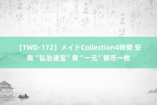 【TWD-172】メイドCollection4時間 安南“弘治通宝”背“一元”银币一枚