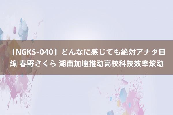 【NGKS-040】どんなに感じても絶対アナタ目線 春野さくら 湖南加速推动高校科技效率滚动