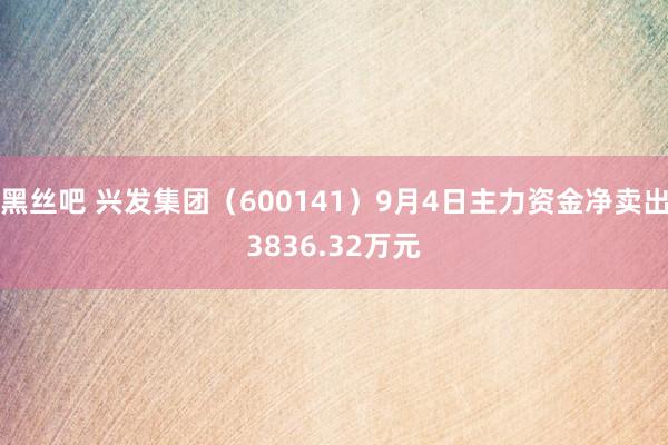 黑丝吧 兴发集团（600141）9月4日主力资金净卖出3836.32万元