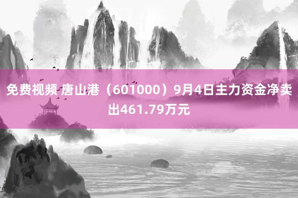 免费视频 唐山港（601000）9月4日主力资金净卖出461.79万元