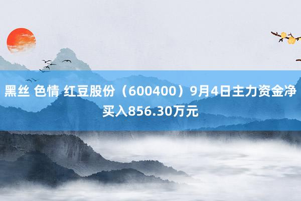 黑丝 色情 红豆股份（600400）9月4日主力资金净买入856.30万元