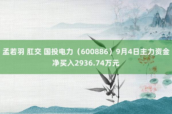 孟若羽 肛交 国投电力（600886）9月4日主力资金净买入2936.74万元