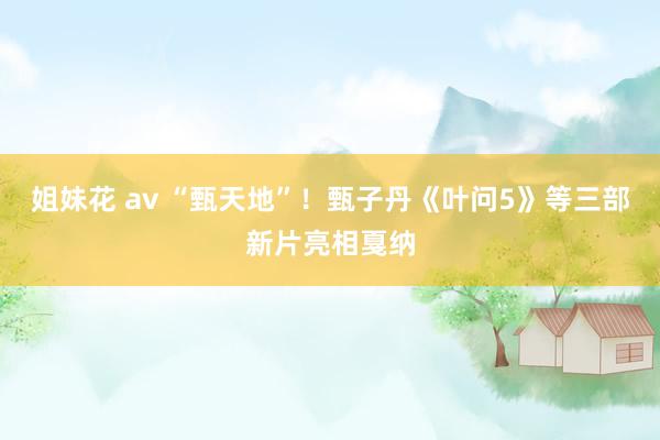 姐妹花 av “甄天地”！甄子丹《叶问5》等三部新片亮相戛纳