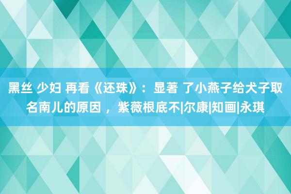 黑丝 少妇 再看《还珠》：显著 了小燕子给犬子取名南儿的原因 ，紫薇根底不|尔康|知画|永琪