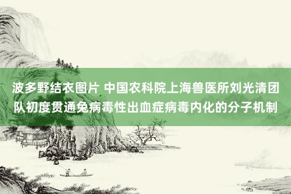 波多野结衣图片 中国农科院上海兽医所刘光清团队初度贯通兔病毒性出血症病毒内化的分子机制