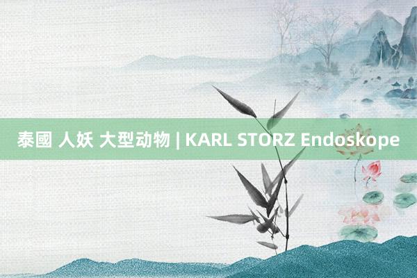 泰國 人妖 大型动物 | KARL STORZ Endoskope