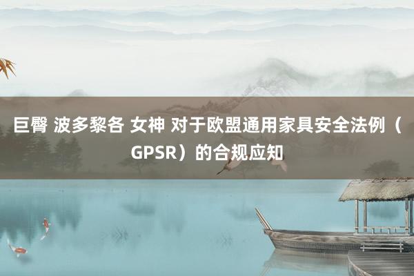 巨臀 波多黎各 女神 对于欧盟通用家具安全法例（GPSR）的合规应知