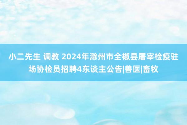 小二先生 调教 2024年滁州市全椒县屠宰检疫驻场协检员招聘4东谈主公告|兽医|畜牧