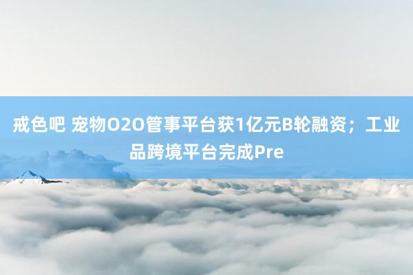 戒色吧 宠物O2O管事平台获1亿元B轮融资；工业品跨境平台完成Pre